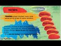 Weather, Seasons, and Climate Concepts