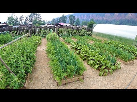 Экскурсия на супер огород мечты 2019