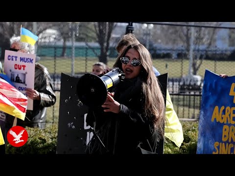 Protesters take to street in Washington to support Zelensky after Trump clash