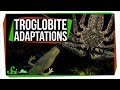 Exploring Extraordinary Cave-Dwelling Animal Adaptations