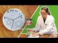 Bacterial Culture Handling and Experimentation