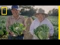 The Story of Faye and Joe Gok