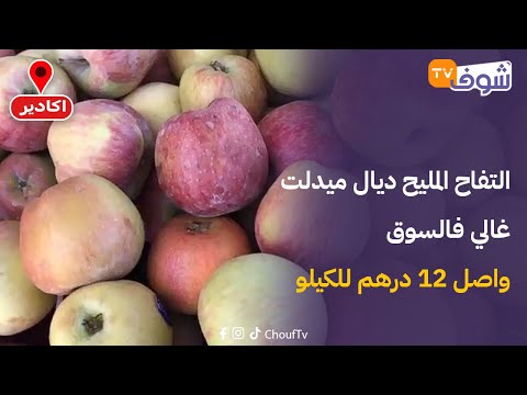 من اكادير : التفاح المليح ديال ميدلت غالي فالسوق واصل 12 درهم للكيلو…أجيو تشوفوا الأنواع ديال التفاح