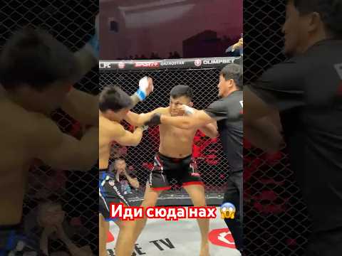 Иди сюда нах 😱 #mma #muradaov #мма #кунфу #бокс #файтинг #ufc #харидуз #бои #sports