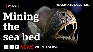 YouTube video thumbnail: Should we Mine the Deep Ocean? 