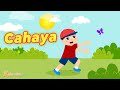 Kuis Tentang Sifat dan Fungsi Cahaya