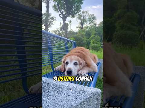 ME CULPARON POR ERROR Y HUÍ DE CASA! 😱 (¿DEBERÍA PERDONARLOS?)
