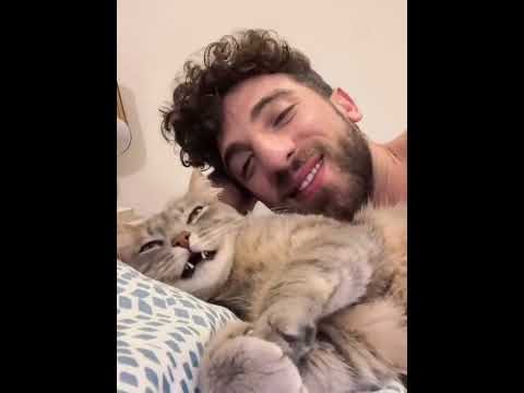 Cats love to imitate sounds #cat #cats #fyp #Funnycat #funnyvideo #usa #foryou #funnycat