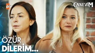 Feryal, ayaklarına gidip özür diledi - Canevim 3. Bölüm