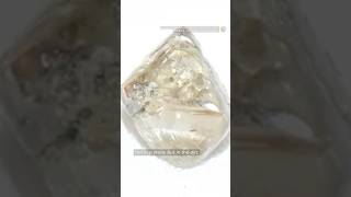 New Yorker finds perfect diamond in dirt after weeks of searching