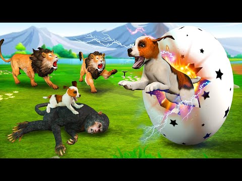 कुत्ते का पिल्ला जादुई बड़ा अंडा और बंदर माँ Dog Puppy Magical Giant Egg and Bander Maa Ki Kahani