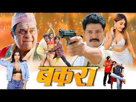 Brahmanandam | New Released Best Comedy Movie In Hindi Dubbed | Bakara Full South Movies