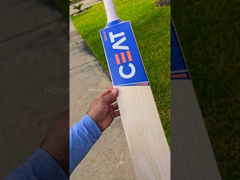 വില കേട്ടാൽ ഞെട്ടും 😳 cricket bats evolution