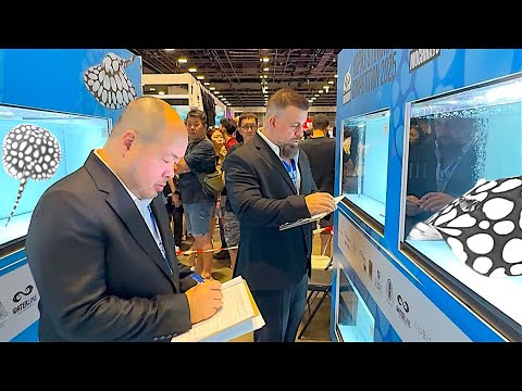 “WHAT It’s Like JUDGING a $100,000 STINGRAY Competition” in SINGAPORE