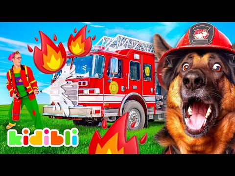 Fire-fighting Dogs Compilation for Kids | Educational Videos For Children | Kidibli