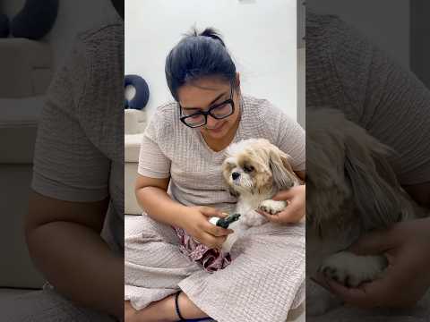 Eroju intini nene chuskuntunna😩😅 #ishqyouall #swv #telugu #youtube #shorts