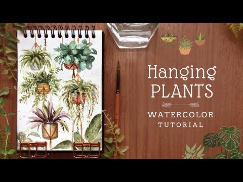 Loose Watercolor Hanging Plants: Tutorial
