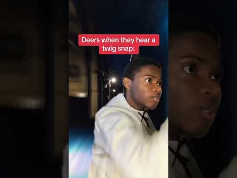 Deers in different situations 💀