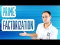 Exploring Prime Factorization Techniques