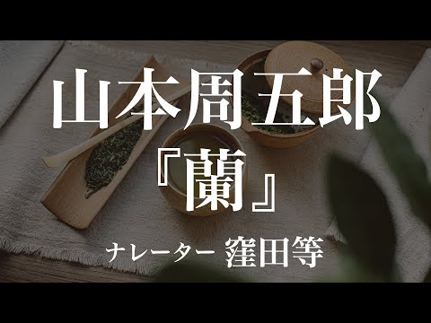 『蘭』作：山本周五郎　朗読：窪田等　作業用BGMや睡眠導入 おやすみ前 教養にも 本好き 青空文庫