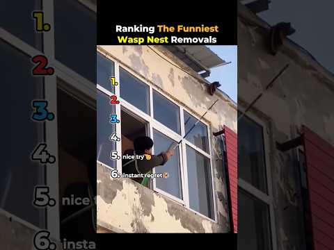 Ranking The Funniest Wasp Nest Removals