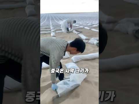 사막회를 뒤집어버리는 엄청난 물량이네요