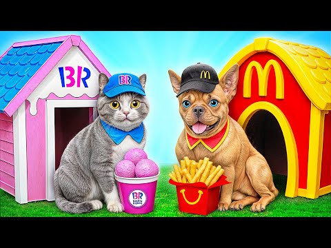 Construimos Casa para Mascotas | Momentos Divertidos por Multi DO Smile