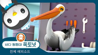 바다 탐험대 옥토넛 - 🐦 펠리컨의 바다 레이스 🌊 - 모음집