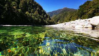 Is This New Zealand’s Most Beautiful Trout River?
