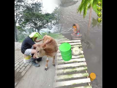 This is so funny, I couldn't stop laughing ๐ #funny #doddlersoftiktok #funnyvideos #duet