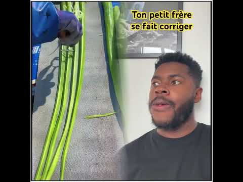 A regarder jusqu’à la fin on comprend mieux 😂 #humour #sketch #bonnenote