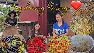 Ang daming paorder at marami din tayong naharvest na gulay | Buhay Probinsya | Mindoro 