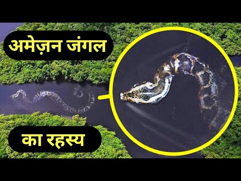 अमेज़न जंगल का रहस्य 😨😱 | Mystery of Amazon Rainforest in Hindi #amazonrainforest #facthex