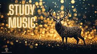 Deep Bass Focus Music, Background Study Music for ADHD Relief