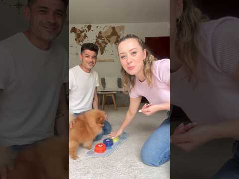 Il mio cane sa parlare 😍 Pulsanti per cani parlanti