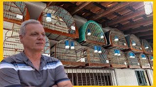 UM PLANTEL COM VÁRIAS ESPÉCIES DE PÁSSAROS