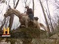 Winter Survival and Roadkill Utilization