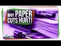 Understanding Paper Cuts