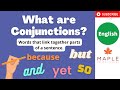 Understanding Conjunctions