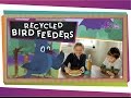 Birds and Recycling Quiz