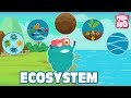 Exploring Ecosystems with Dr. Binocs