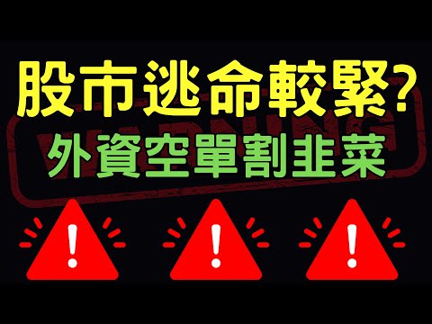 股市逃命要緊? 外資空單割韭菜|美債|鴻海|台積電|三大法人|台幣|美元|存股|股票，10/29/24【宏爺講股】