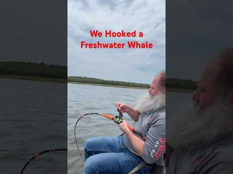 Talk about fun!! #oklahoma #paddlefish #opg @Meathunterrods @Piscifun