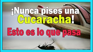 ¡Nunca pises una cucaracha! Esto es lo que pasa