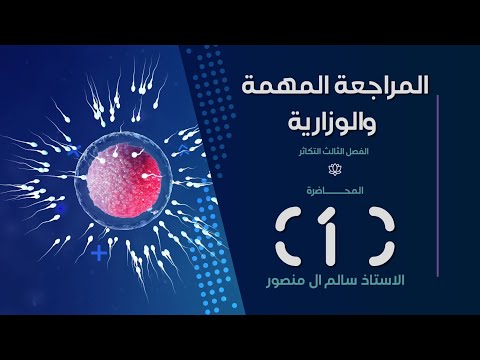 المراجعة ( الفصل الثالث ) | المحاضرة الـ1.