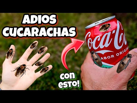 Este VENENO CASERO para MATAR CUCARACHAS es 1000 veces + POTENTE que otros! Eliminar y quitar