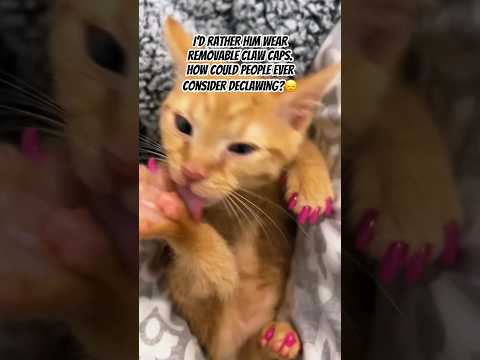 Flavored toe beans 🤪