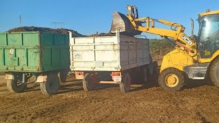 tractores con remolques transportando estiércol y Jcb3cx cargando