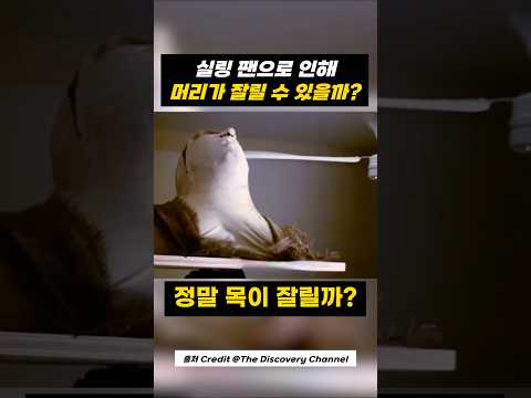 천장 선풍기로 인해 머리가 잘린 남성