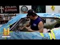 Counting Cars Show Insights